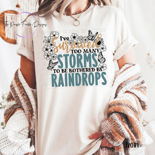 Ive Survived Too Many Storms