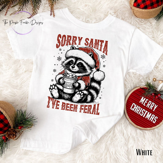 Sorry Santa