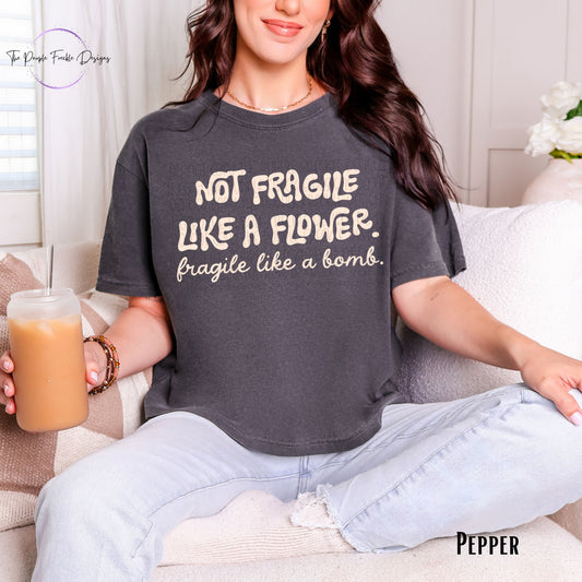 Fragile Like A Bomb