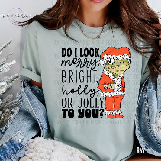Do I Look Merry