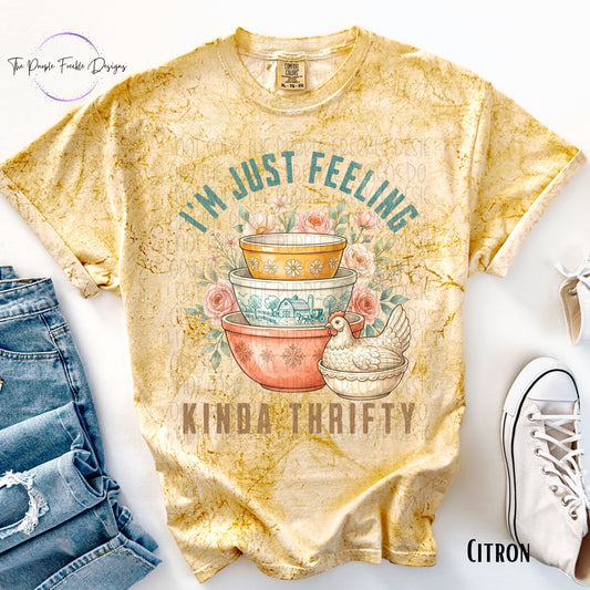 Feeling Kinda Thrifty