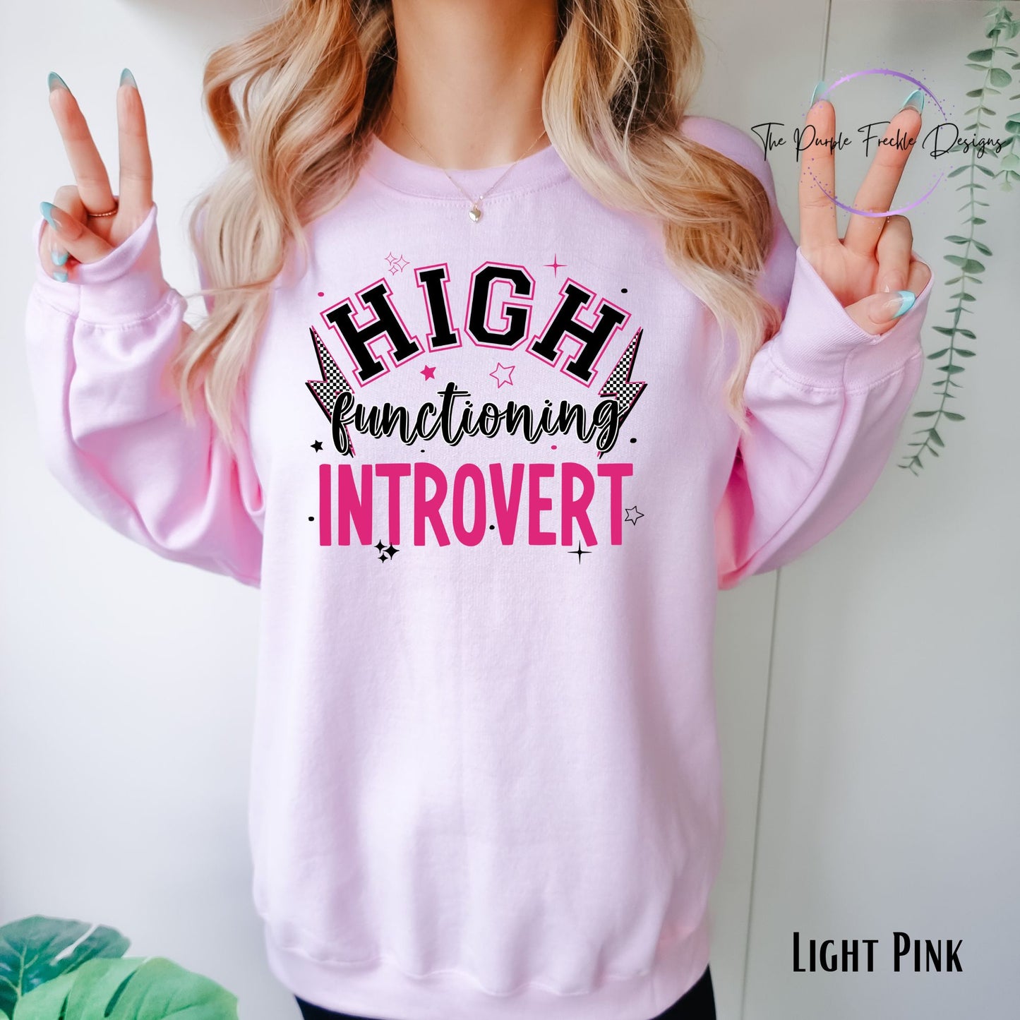 High Functioning Introvert